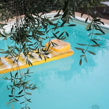 Il Terrazzo Sulla Valle Con Piscina *